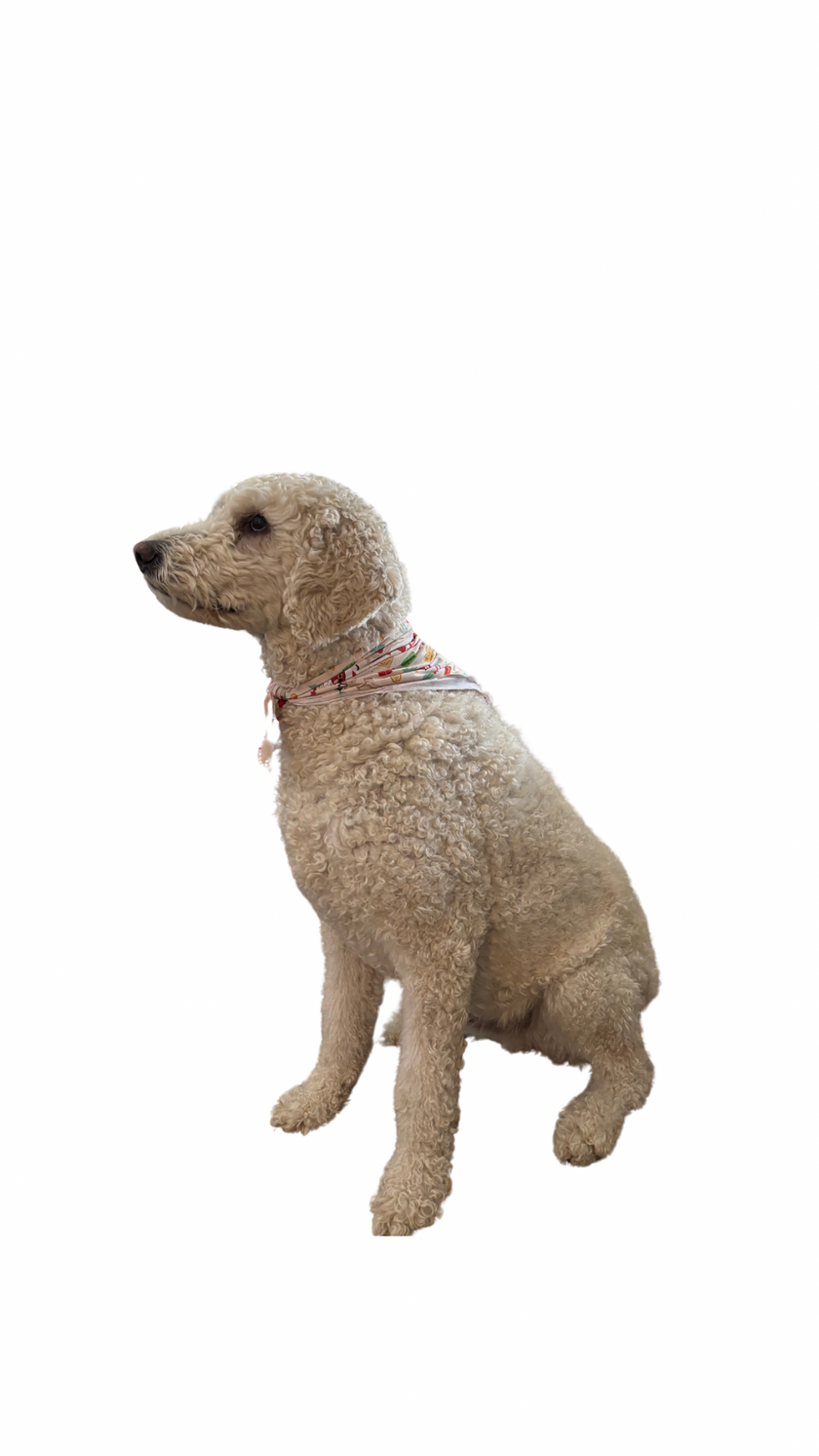 Enchanted Christmas Dog Bandana