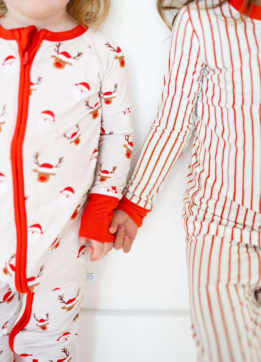 North Pole Expedition Zippy