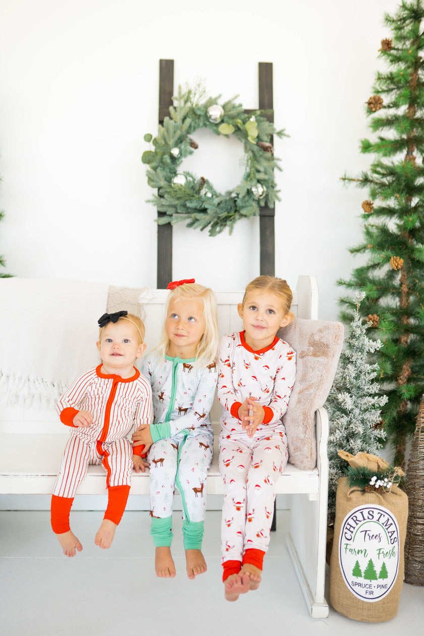 Candy Cane Lane Zippy