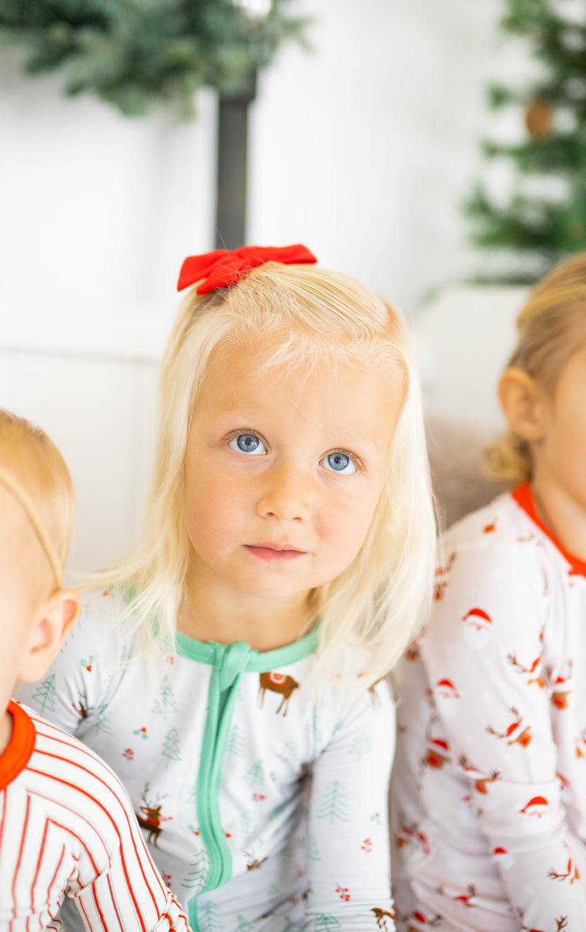 Reindeer Magic Zippy