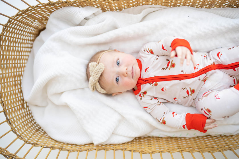 North Pole Expedition Zippy