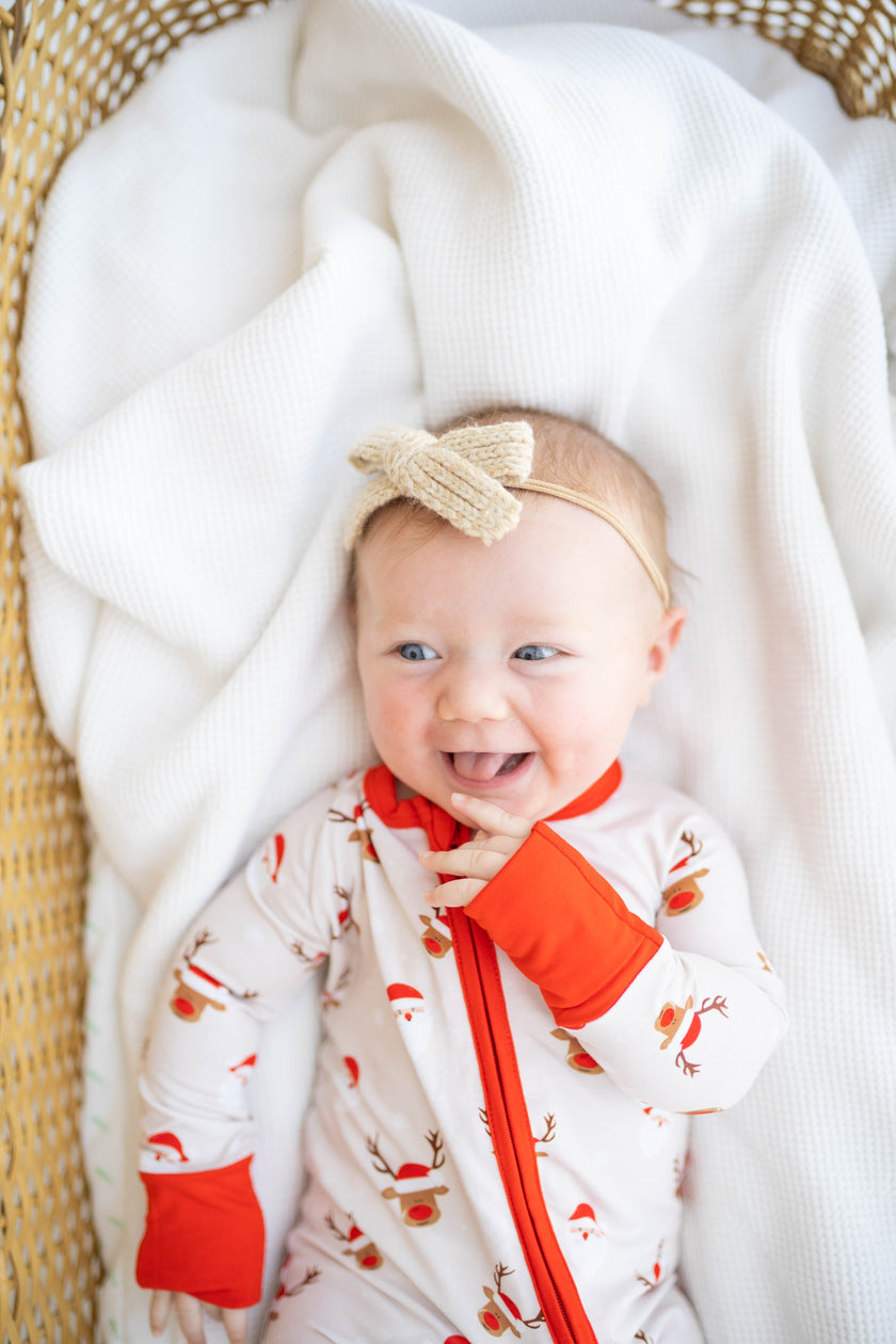 North Pole Expedition Zippy