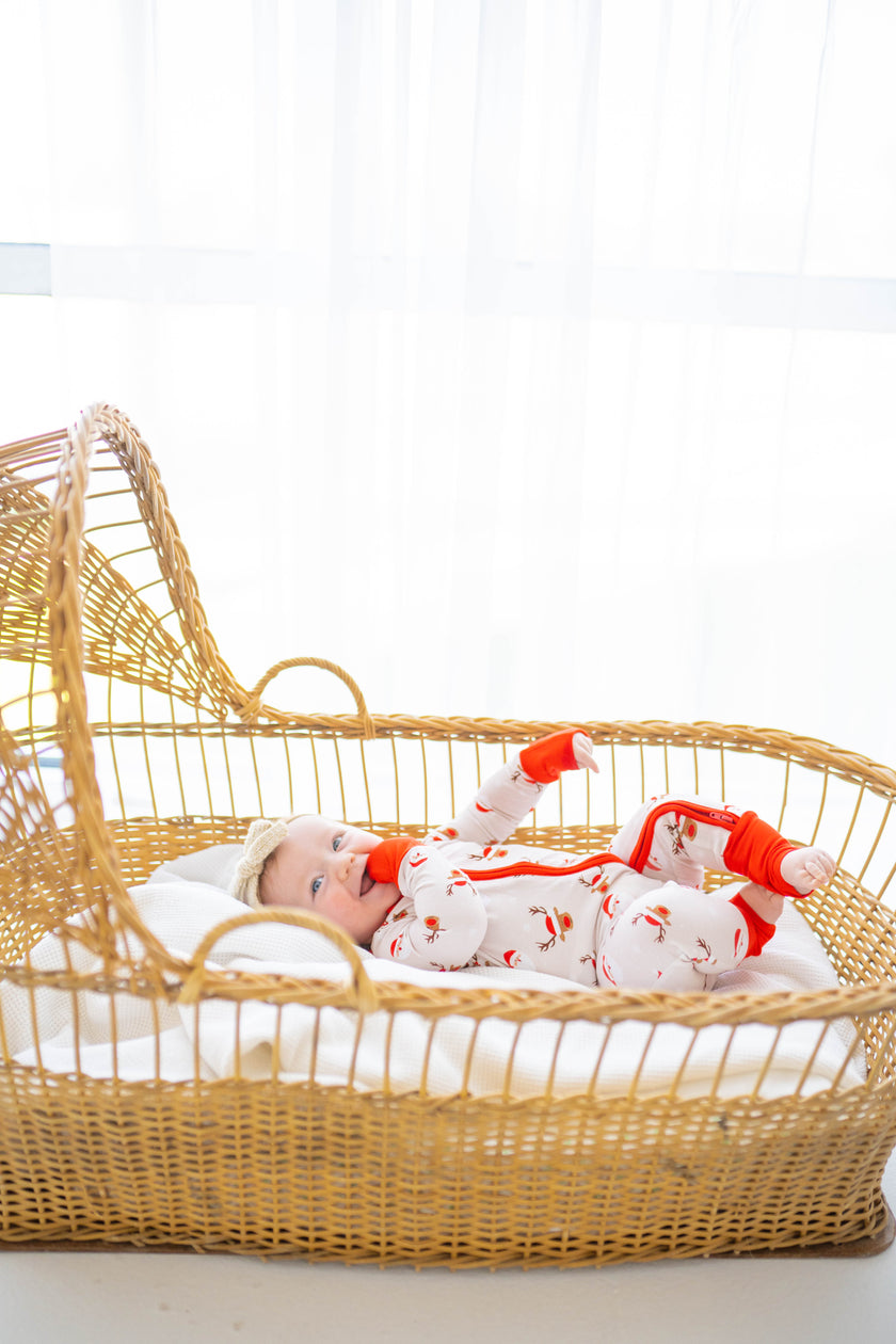 North Pole Expedition Zippy