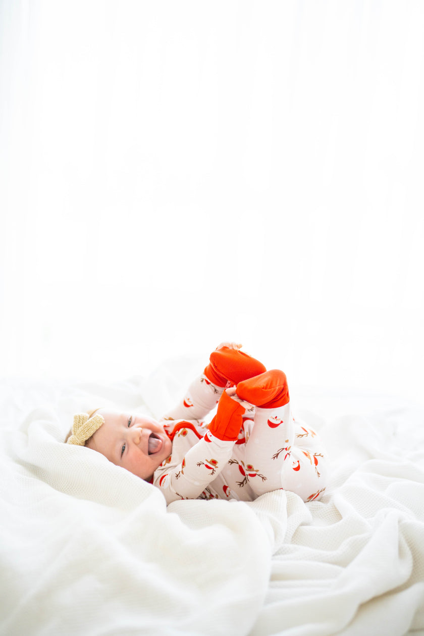 North Pole Expedition Zippy