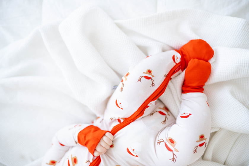 North Pole Expedition Zippy