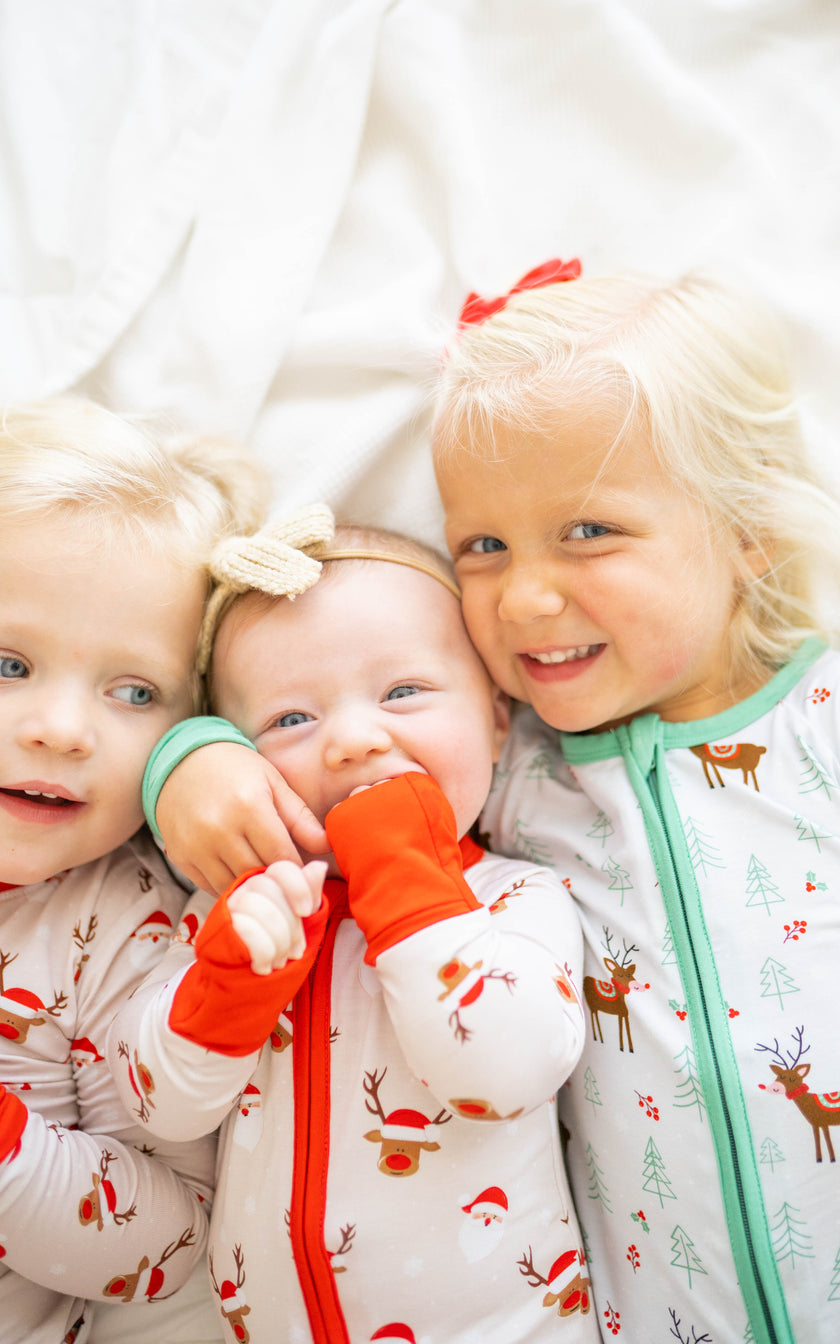 North Pole Expedition Zippy