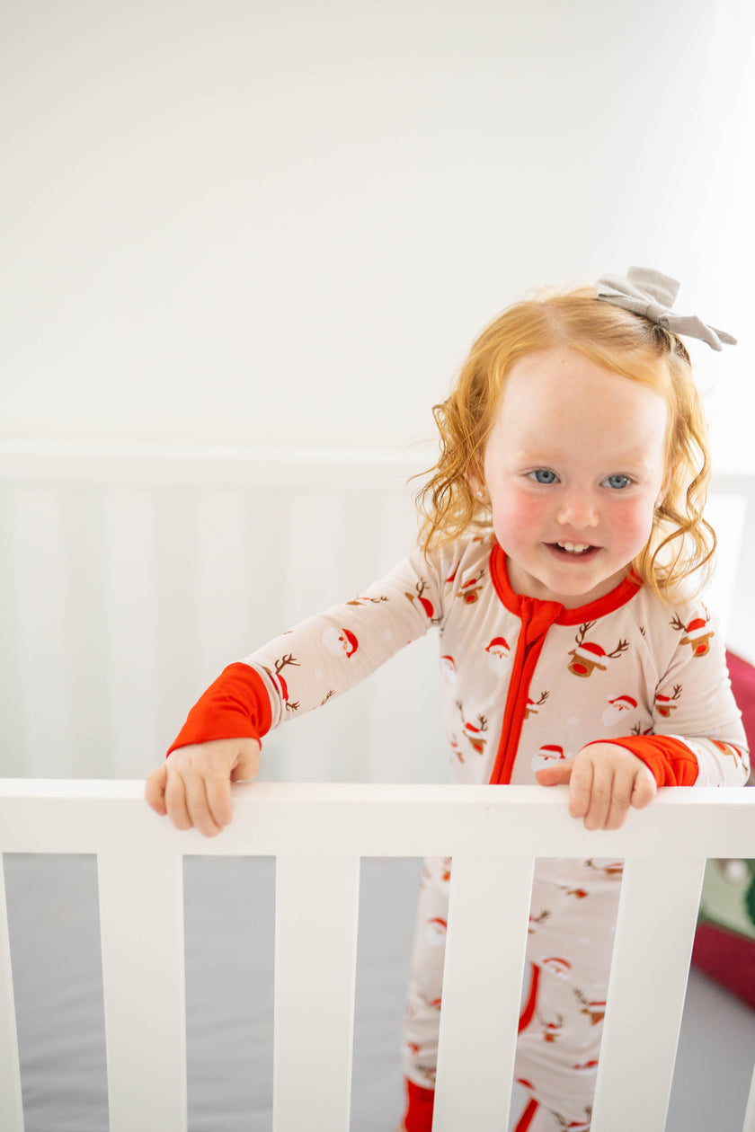 North Pole Expedition Zippy