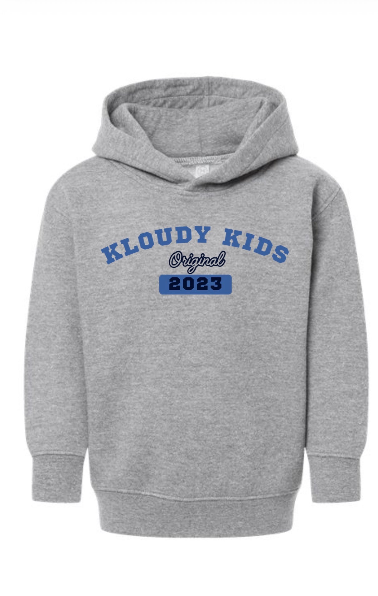 Adult Grey Hoodie