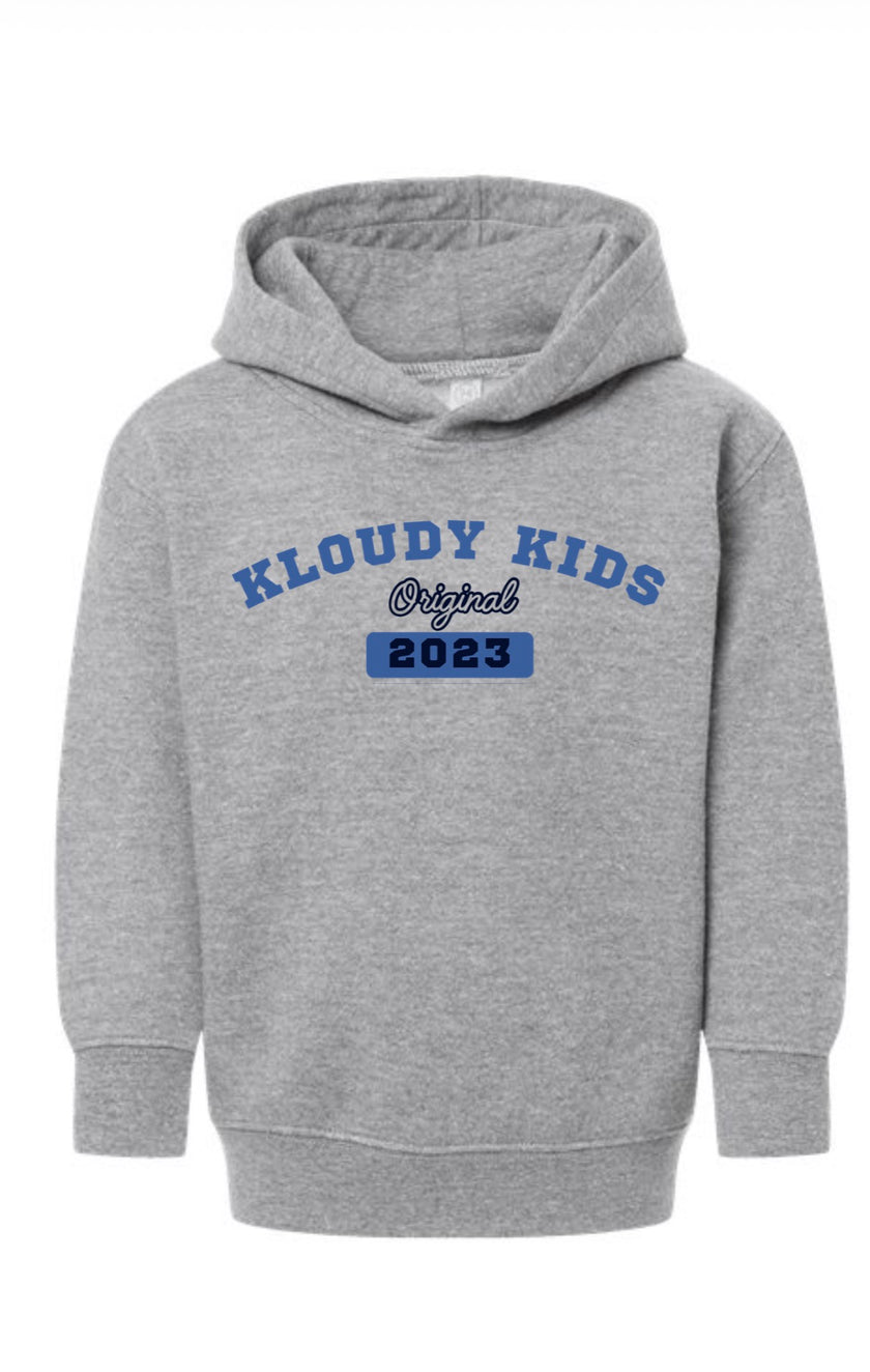 Adult Grey Hoodie