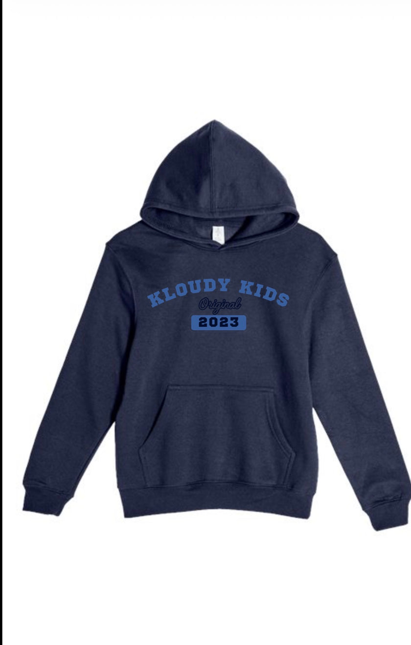 Adult Blue hoodie