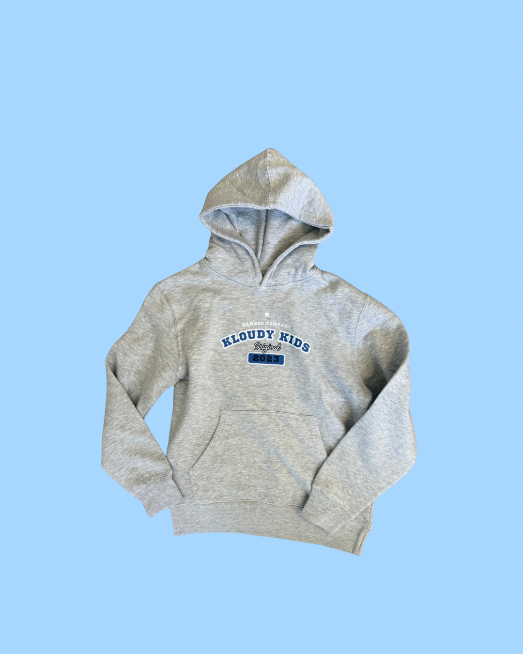 Adult Grey Hoodie